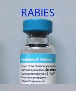 нобивак RABIES